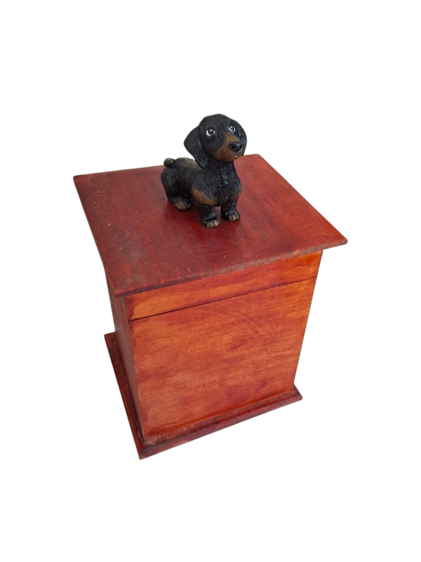 Urna perro Salchicha , urna para ceniza de mascotas con figura 3D 1pz