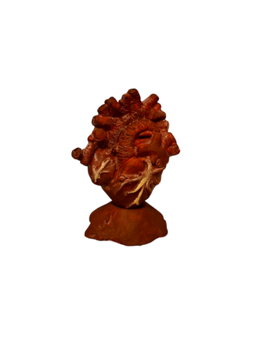 Figura decorativa corazón realista anatomía humana, decoración escritorio, regalo enfermera 1pz